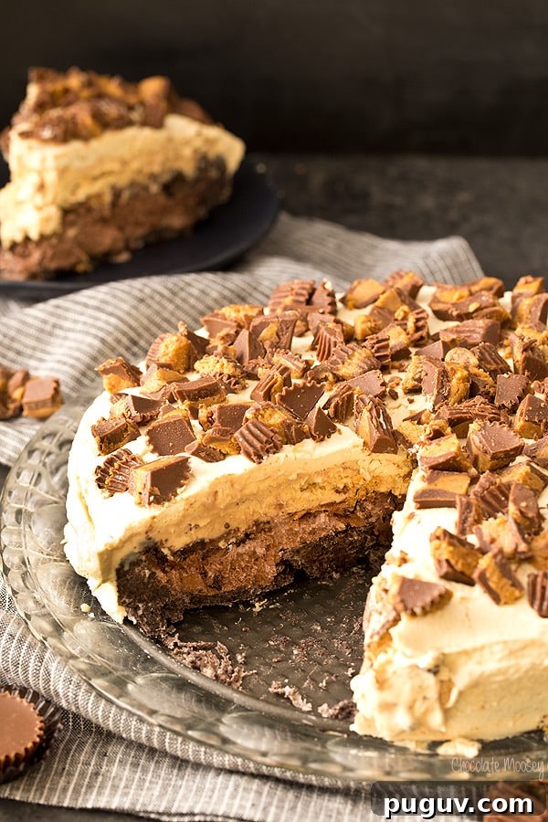 Buckeye Ice Cream Cake (Chocolate Peanut Butter)