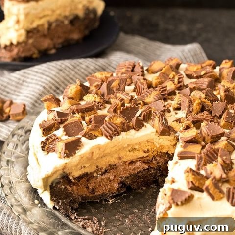 Buckeye Ice Cream Cake (Chocolate Peanut Butter Ice Cream Cake)