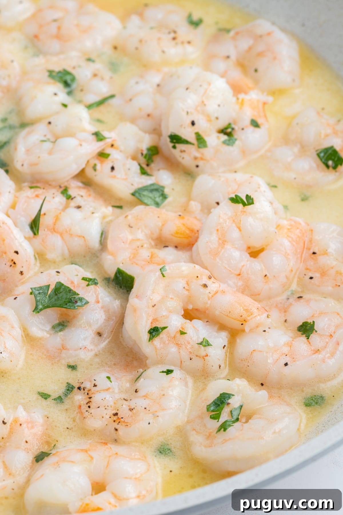 Shrimp Scampi in pan close up shrimp scampi in pan
