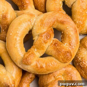 Crispy-On-The-Outside, Soft-On-The-Inside Air Fryer Pretzels 15 Golden soft pretzels on a white plate
