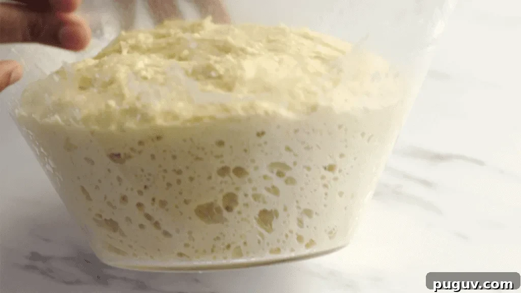 Soft Potato Buns: Simple 5-Step Recipe for Fluffy Rolls 7 potato bun recipe