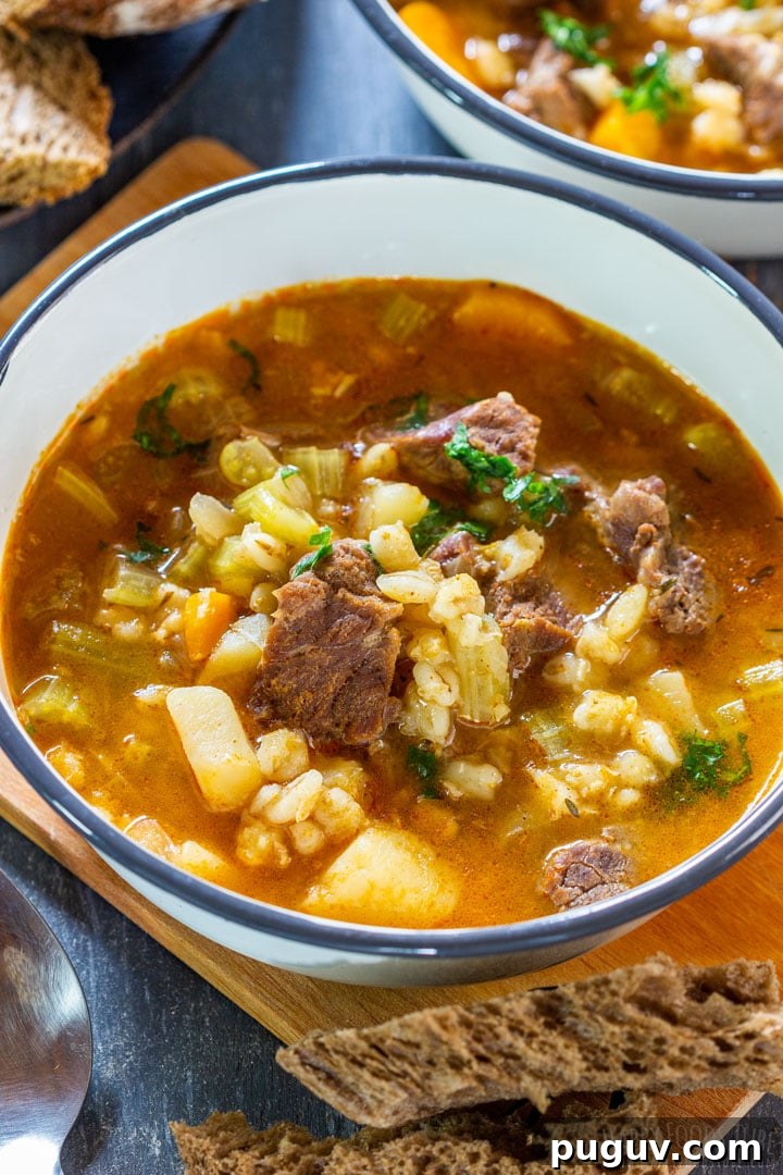 Instant pot beef barley soup