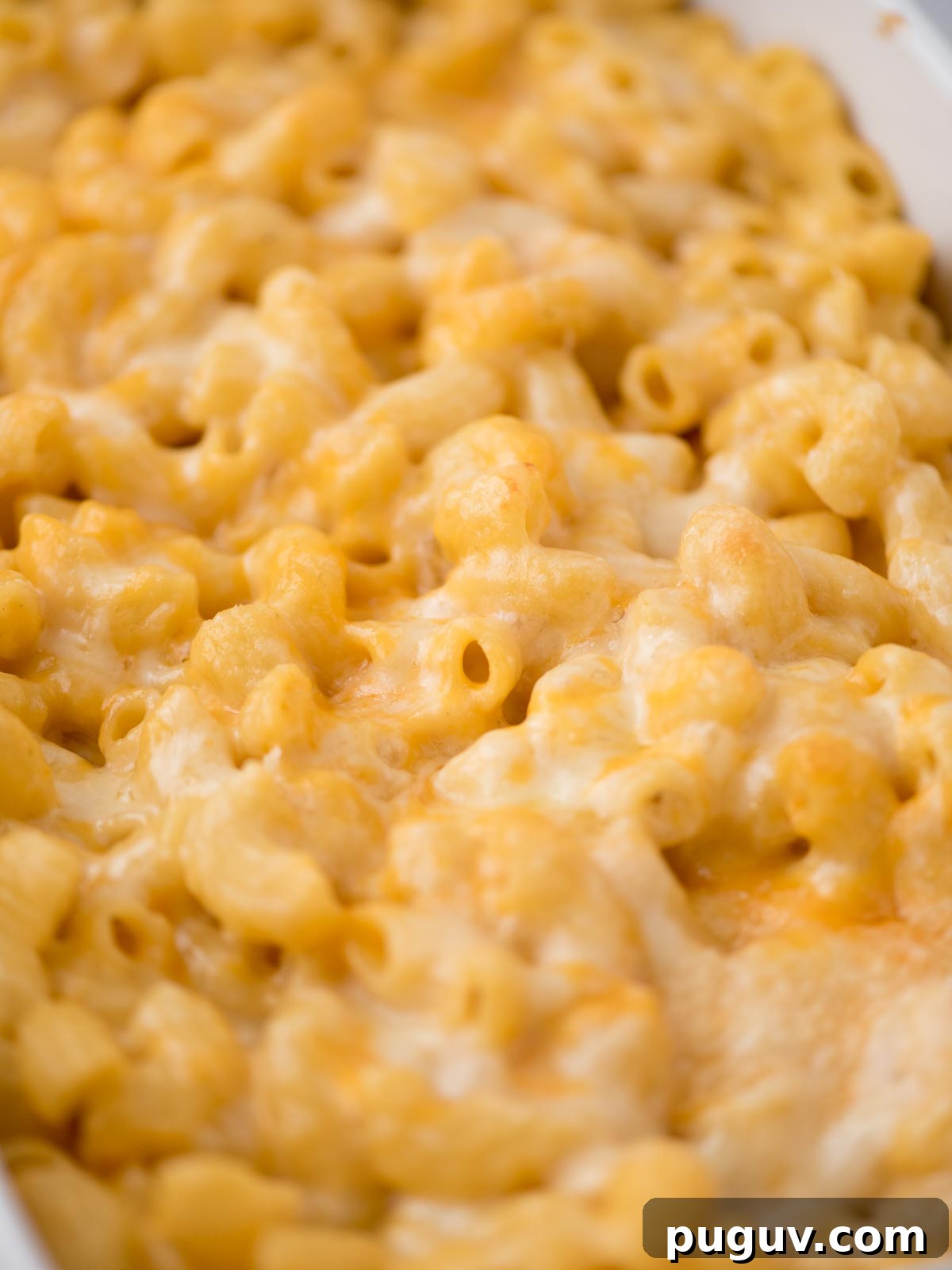 Creamy Baked Macaroni and Cheese Casserole 12 Close up of cheesy baked mac and cheese.