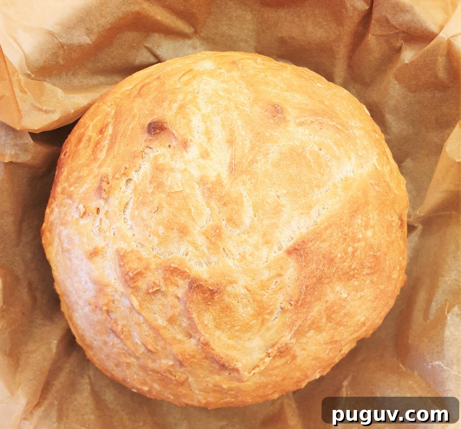 No-Knead Crusty Homemade Bread Recipe for Perfect Loaves 2 Overhead shot of a homemade loaf of crusty homemade bread.