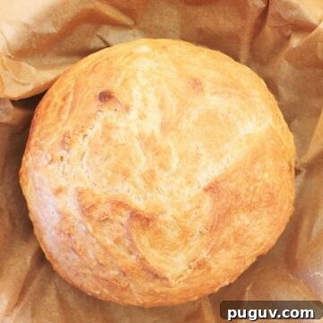 No-Knead Crusty Homemade Bread Recipe for Perfect Loaves 14 Overhead shot of a homemade loaf of crusty homemade bread.