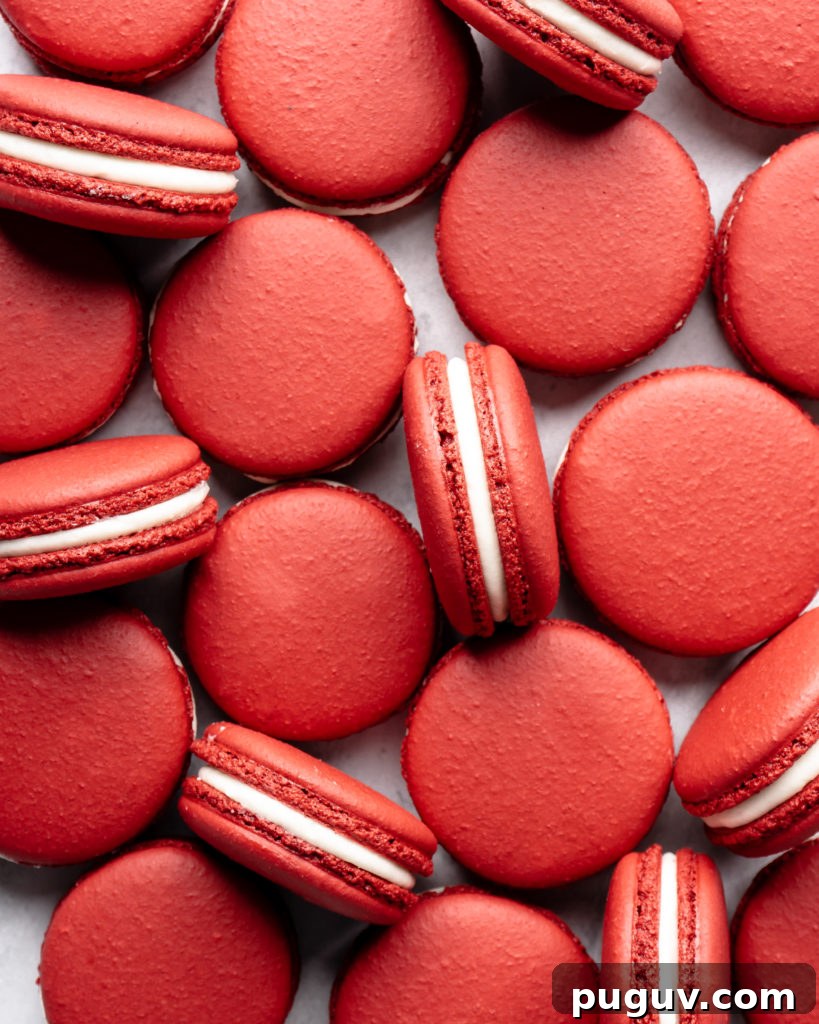 Soft Funfetti Sugar Cookies Recipe — Colorful Party Treats 11 Red Velvet Macarons, filled with cream cheese frosting, ready to be eaten