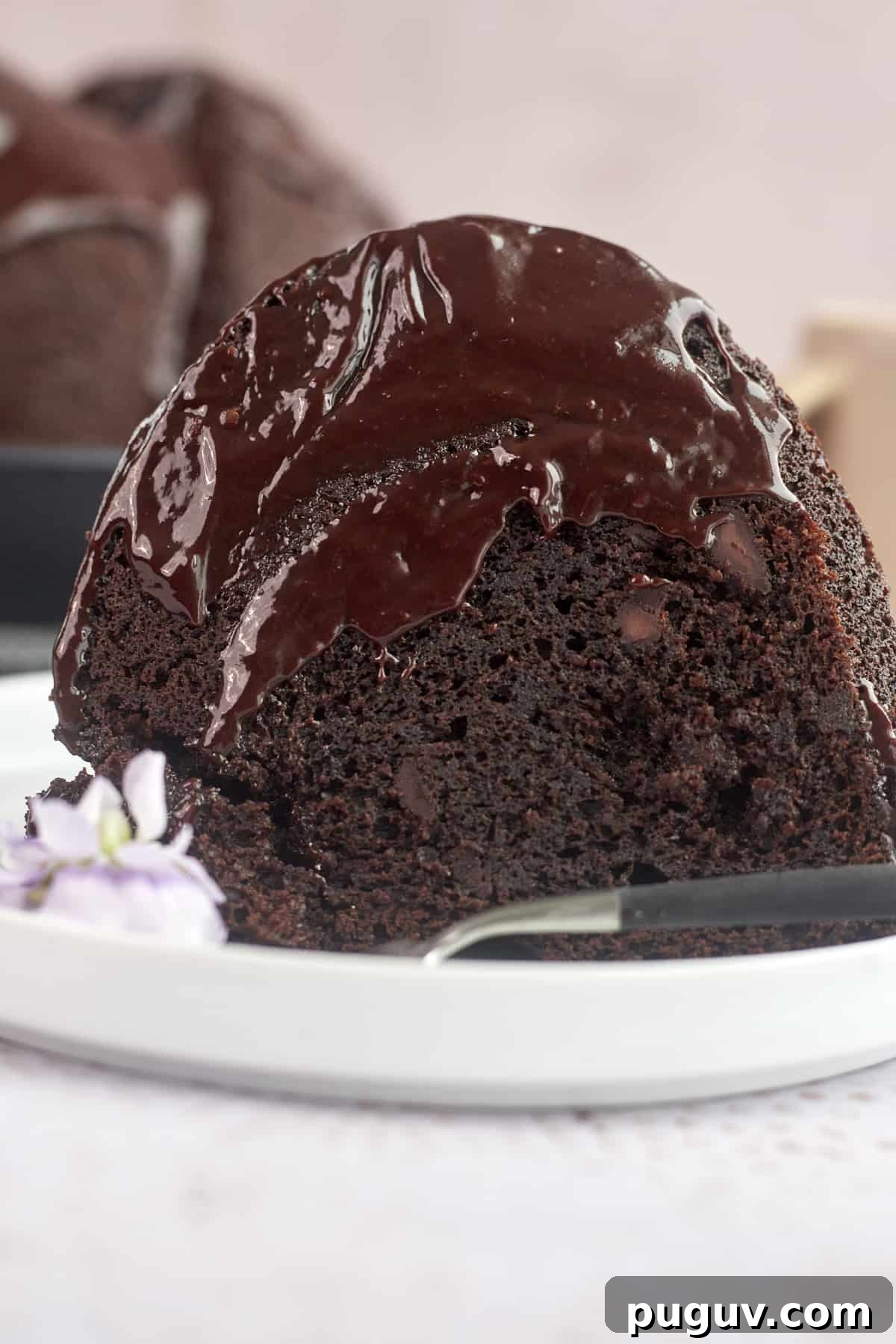 side image of bundt cake with chocolate chips, chocolate batter, and chocolate topping