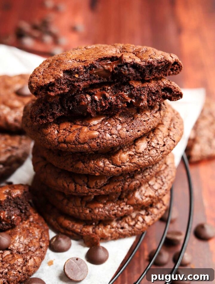 Fudgy Flourless Brownie Cookies — Gluten-Free Chocolate Treats 2 flourless brownie cookies fudgy inside