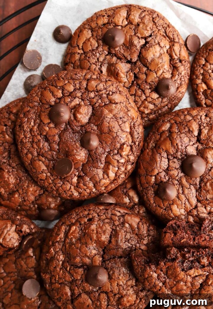 Fudgy Flourless Brownie Cookies — Gluten-Free Chocolate Treats 6 flourless brownie cookies
