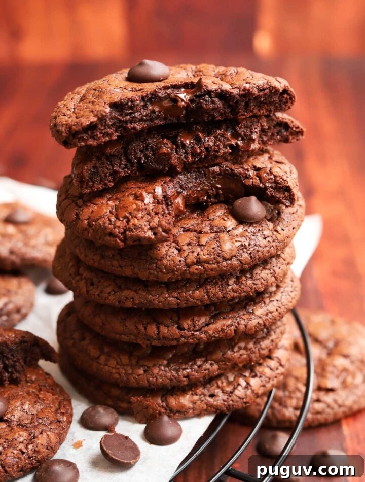 Fudgy Flourless Brownie Cookies — Gluten-Free Chocolate Treats 8 flourless brownie cookies