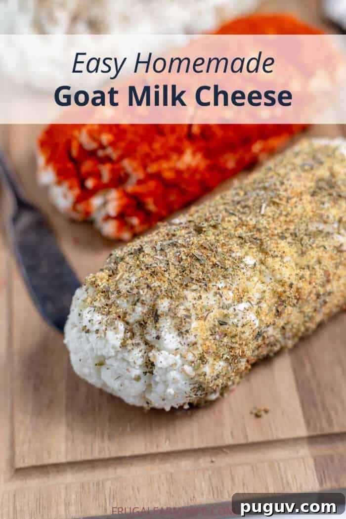 homemade goat milk cheese recipe