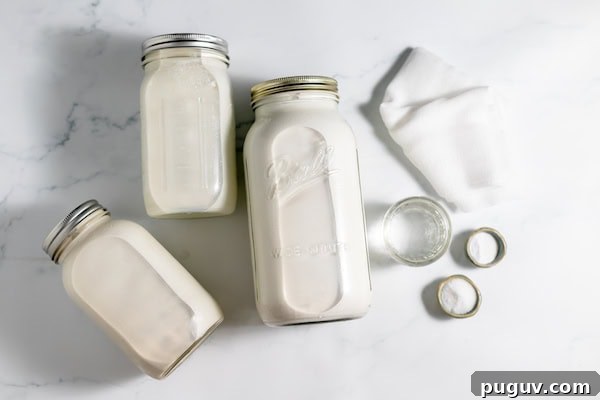 simple recipe for making goat milk cheese