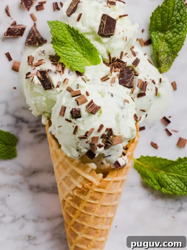 A close up shot of a mint chocolate chip ice cream cone made from the ninja creami.