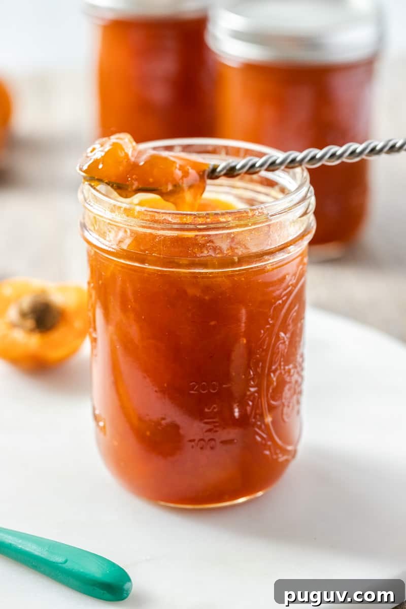 Side shot of jar of jam, with a silver spoon on top.