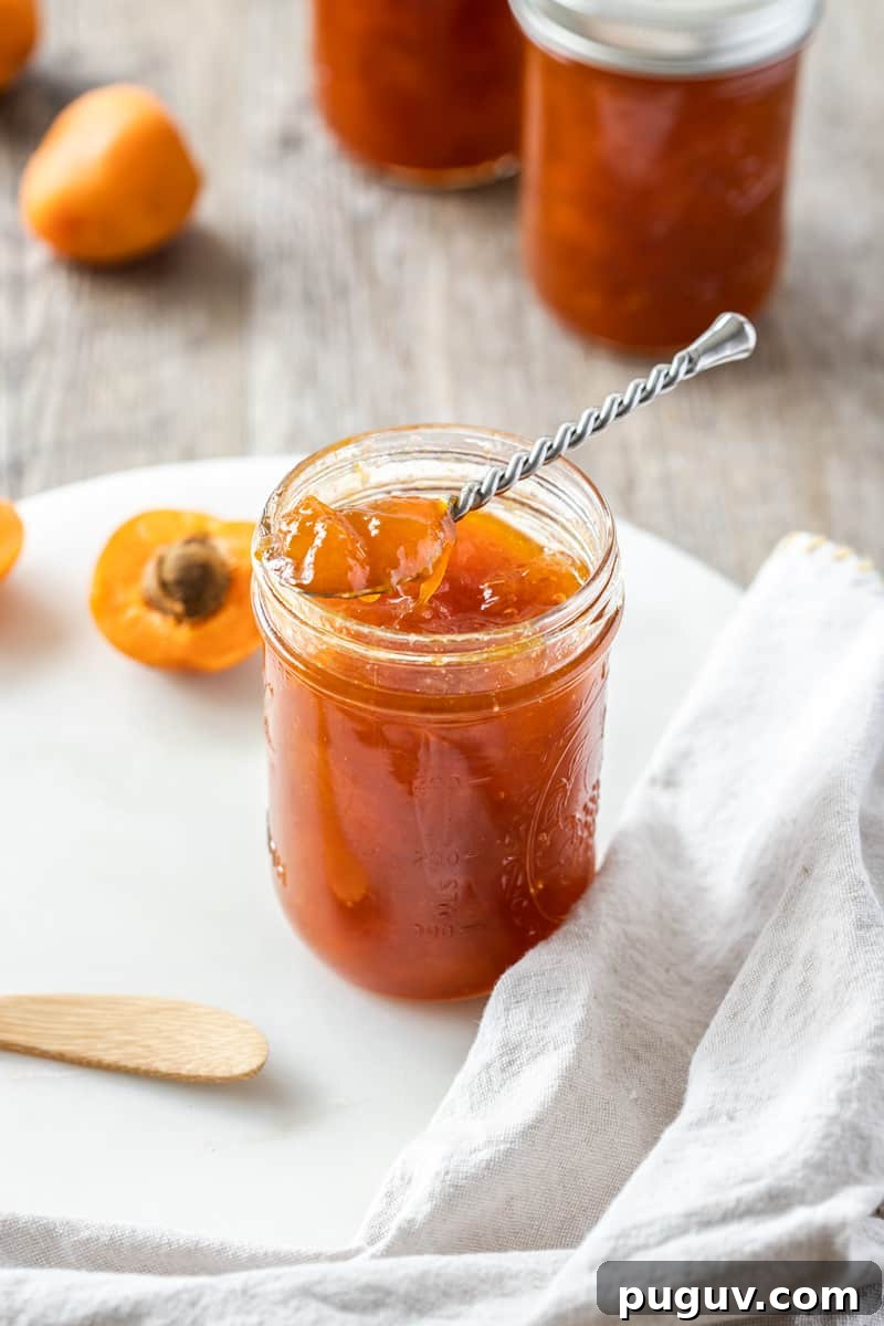 Shot of open jar of jam, with a silver spoon sitting on top.