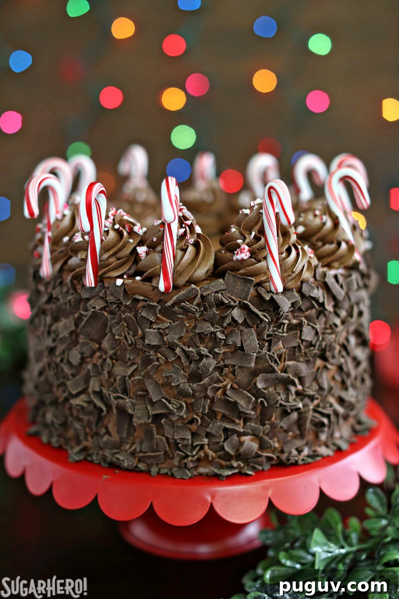 Chocolate Candy Cane Cake – chocolate cake, covered with chocolate curls and decorated with miniature candy canes around the top