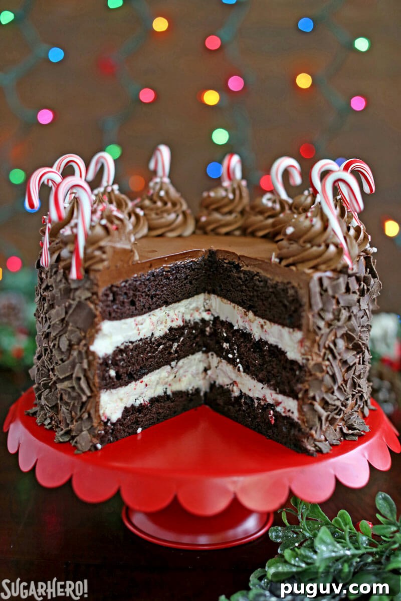 Chocolate Candy Cane Cake – the cake cut open on a red cake stand