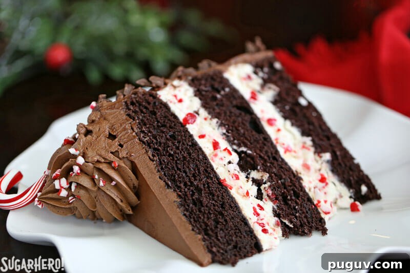Chocolate Candy Cane Cake – close-up of single slice of cake on a plate