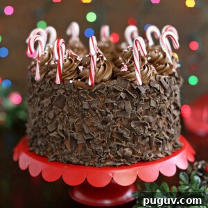Chocolate Candy Cane Cake on a red platter.