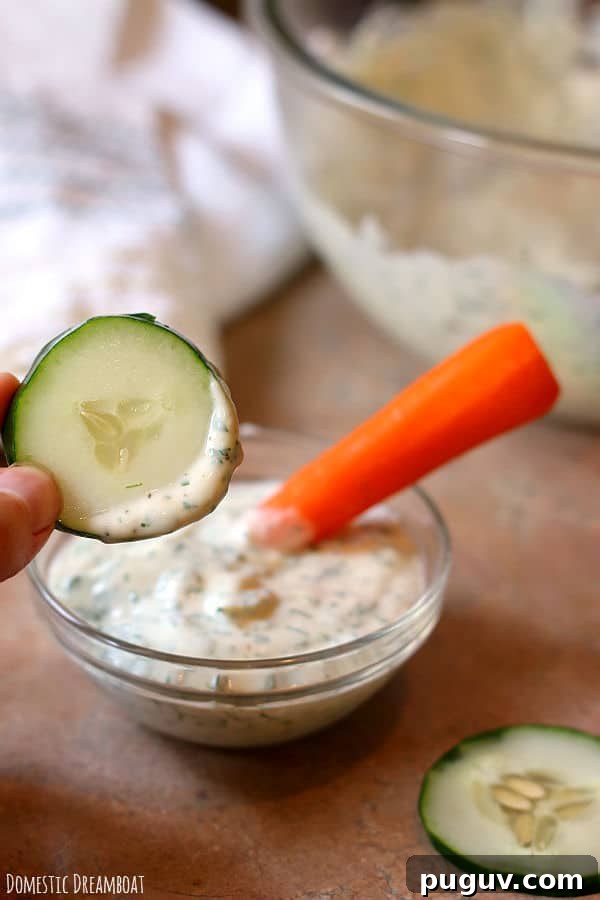 Basil Balsamic Vinaigrette Recipe — Tangy Herb Dressing for Salads 7 img 22238 6