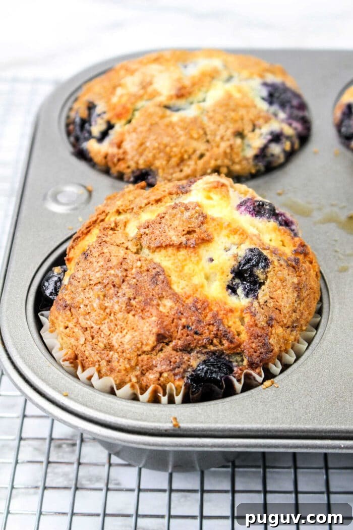 Upgrade Your Blueberry Muffin Mix: Simple Tips for Moist, Flavorful Muffins 2 A golden-brown blueberry muffin made with blueberry muffin mix rests in a muffin tin on a cooling rack.