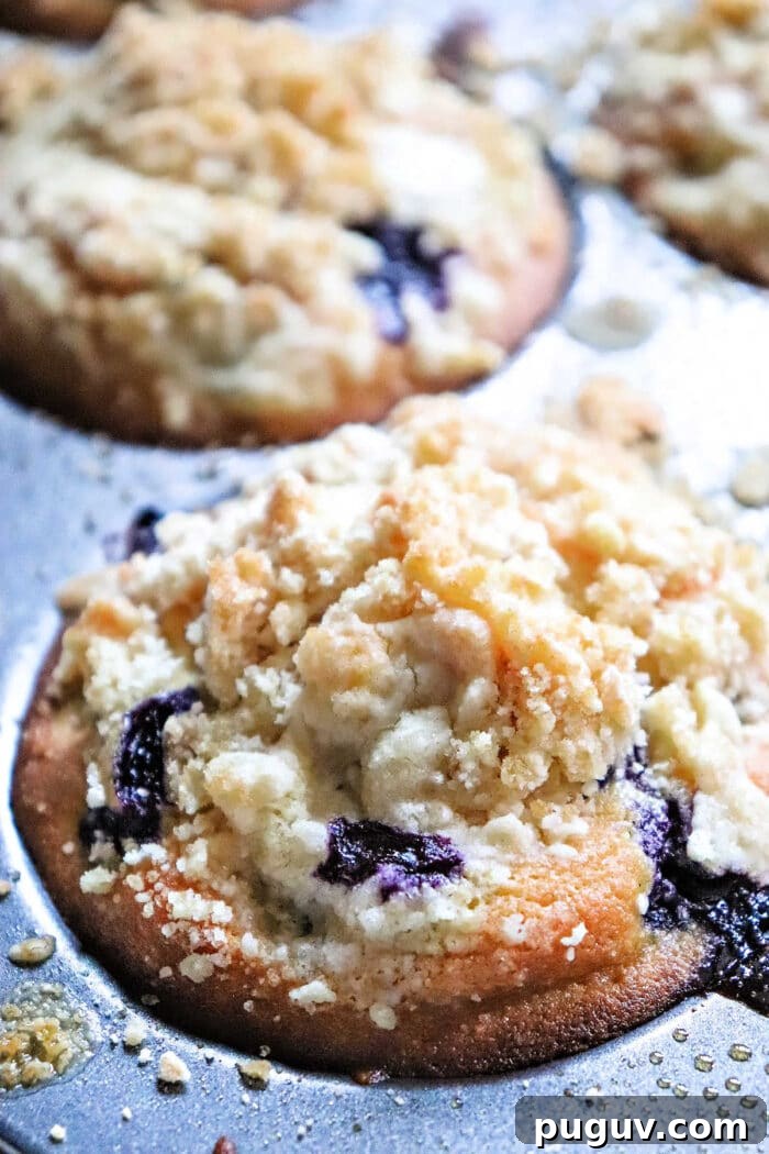 Upgrade Your Blueberry Muffin Mix: Simple Tips for Moist, Flavorful Muffins 6 A close-up of a blueberry muffin with crumbly streusel topping in a metal muffin pan, showing how Blueberry muffin mix can improve texture for even better muffins.