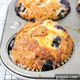 Upgrade Your Blueberry Muffin Mix: Simple Tips for Moist, Flavorful Muffins 7 A golden-brown blueberry muffin made with blueberry muffin mix rests in a muffin tin on a cooling rack.