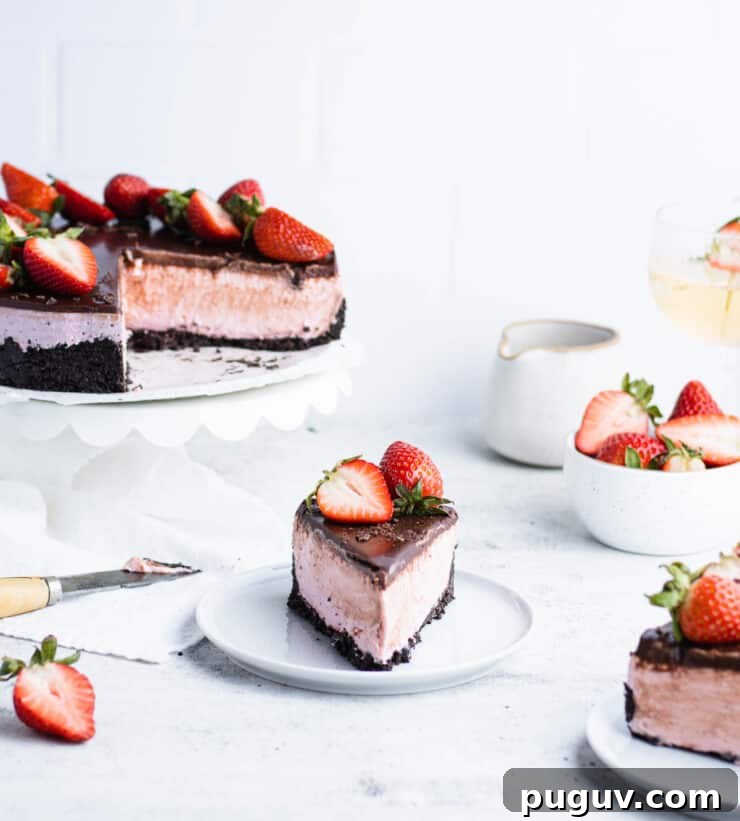 No-Bake Chocolate Strawberry Cheesecake Recipe 2 Slice of chocolate strawberry cheesecake on a blue plate in front of the rest of the cake, a bowl of strawberries, a ceramic pitcher and a glass of wine.