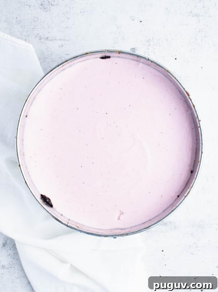 No-Bake Chocolate Strawberry Cheesecake Recipe 9 Overhead view of cheesecake filled cake pan.
