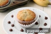 Pumpkin Chocolate Chip Cookies Made from Cake Mix 12 Banana Chocolate Chip Muffins