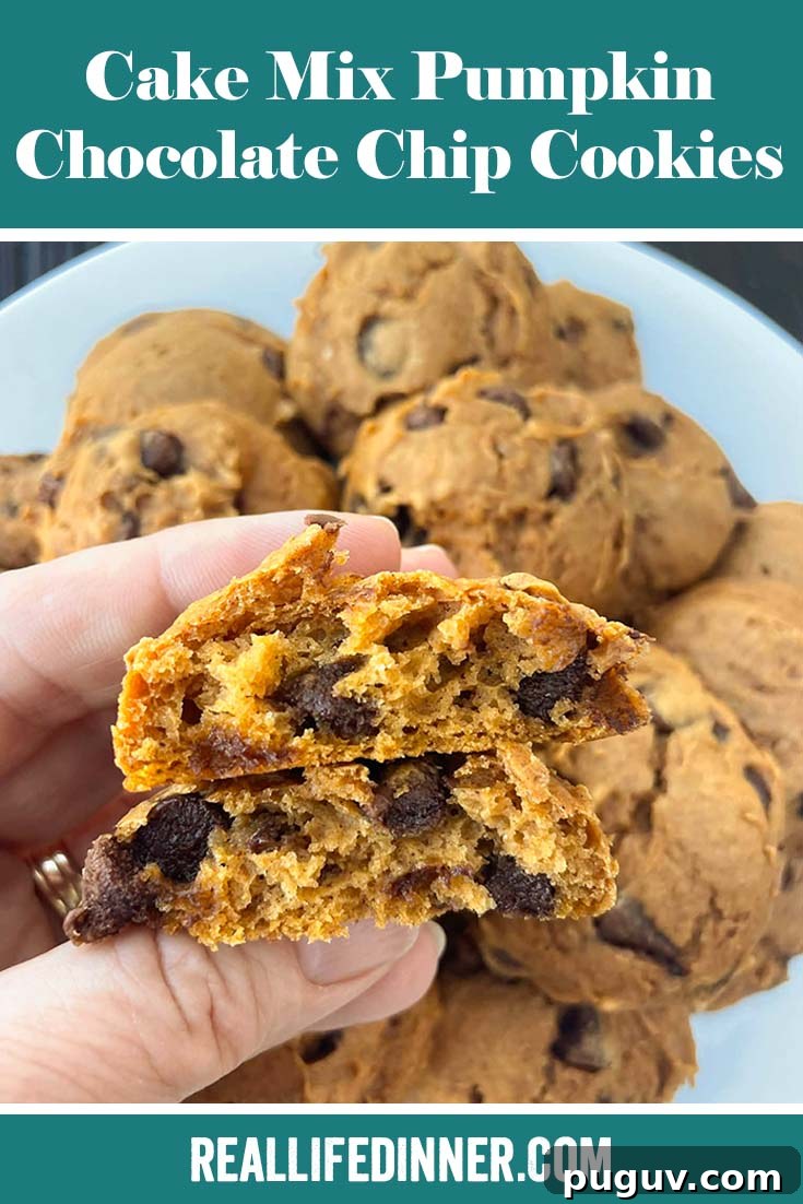 Pumpkin Chocolate Chip Cookies Made from Cake Mix 15 Pinterest picture of Cake Mix Pumpkin Chocolate Chip Cookies with the text of the title at the top.