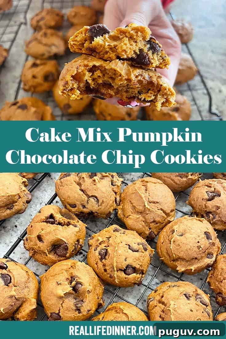 Two-photo Pinterest picture of Cake Mix Pumpkin Chocolate Chip Cookies with the text of the title in the middle, separating the two photos.