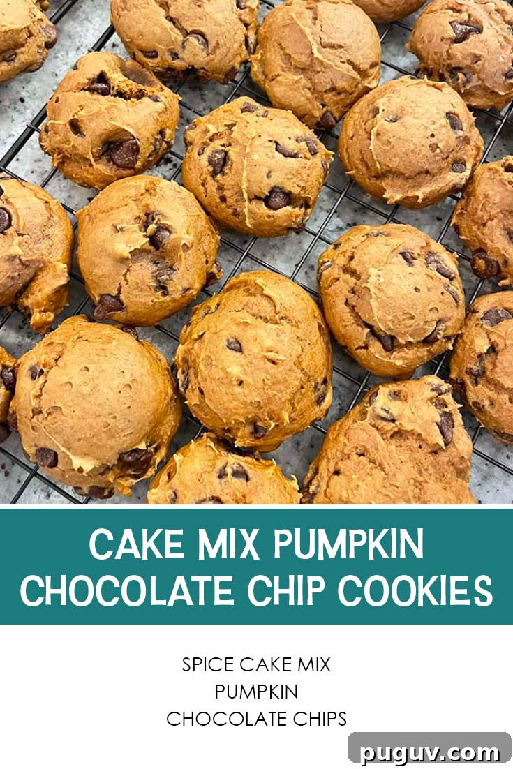 Pumpkin Chocolate Chip Cookies Made from Cake Mix 8 Pinterest picture of Cake Mix Pumpkin Chocolate Chip Cookies with the text of the ingredients at the bottom and the text of the title above the ingredients list.