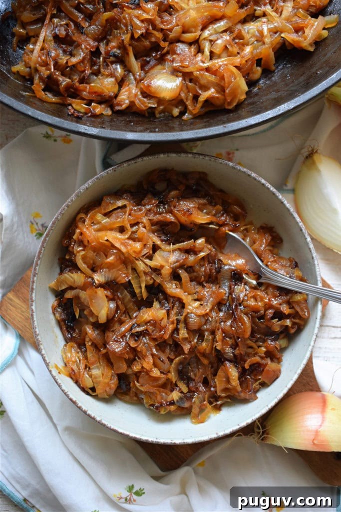 Perfect Guide to Caramelizing Onions for Sweet, Golden Flavor 3 over head view of caramelized onions