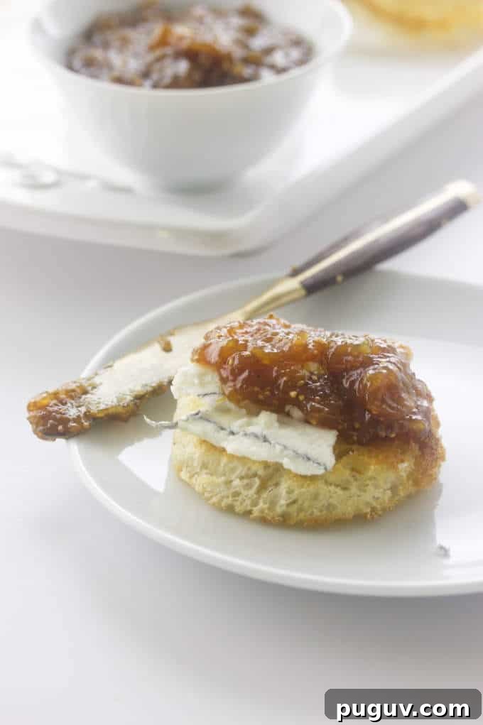 Homemade Fig Jam Made with Dried Figs: Sweet & Simple Recipe 4 Fig Jam with aged goat cheese on crisp toast