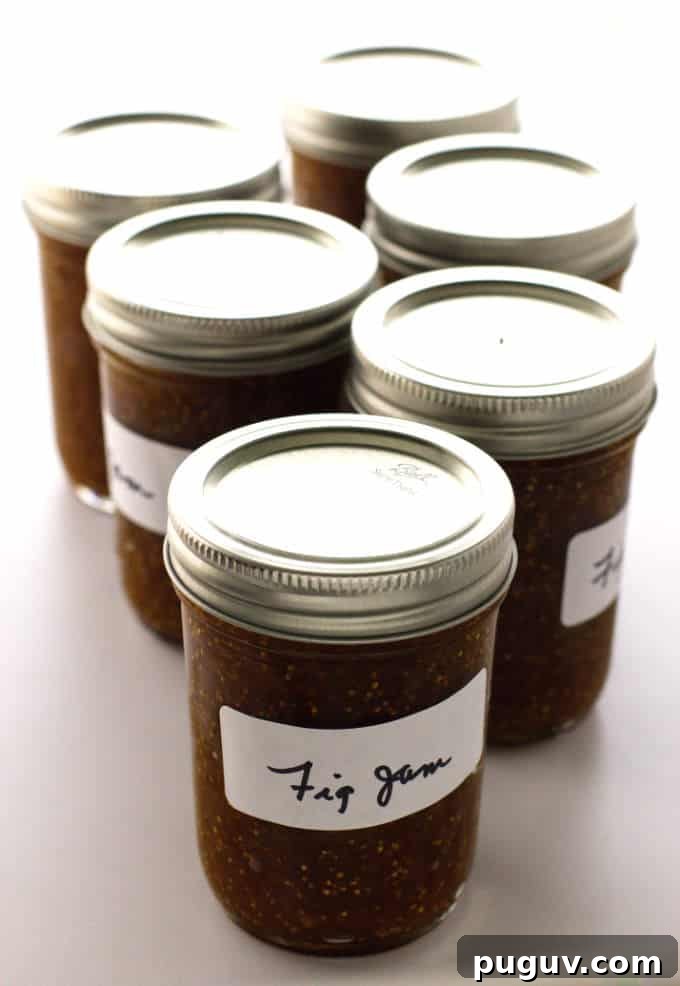 Homemade Fig Jam Made with Dried Figs: Sweet & Simple Recipe 5 6 jars of Fig Jam
