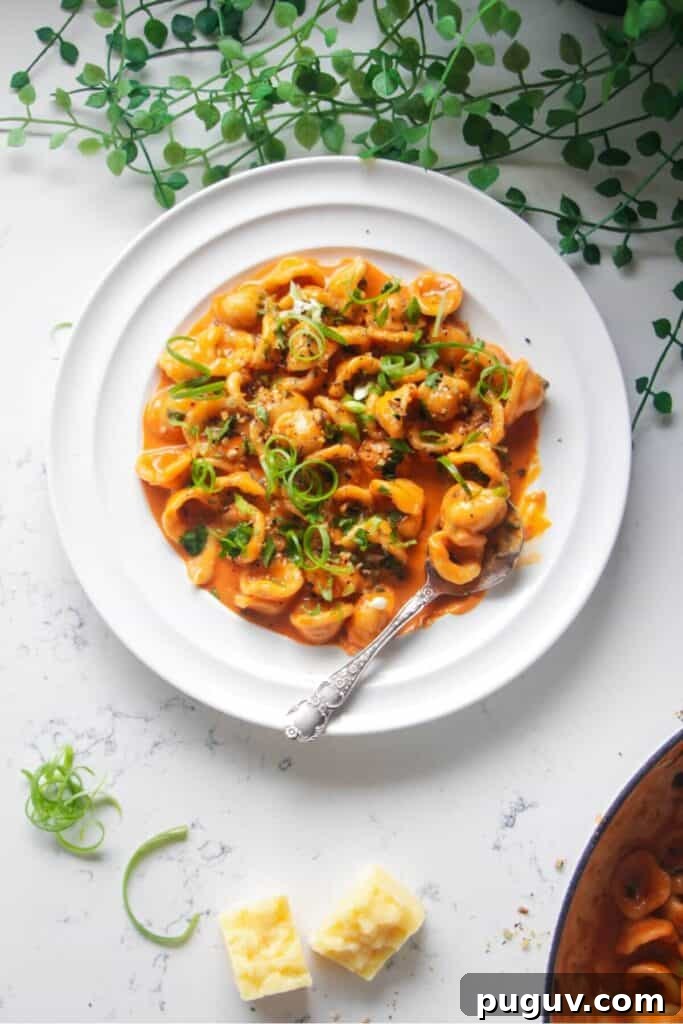 Spicy ’Nduja Pasta with Creamy Burrata Cheese 13 Creamy gochujang pasta topped with green coriander & spring onions on a white plate with a sliver spoon.