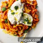 Spicy nduja pasta with torn burrata ball on top with basil on a white plate with a gold fork.