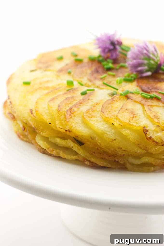 Pommes Anna with Chives