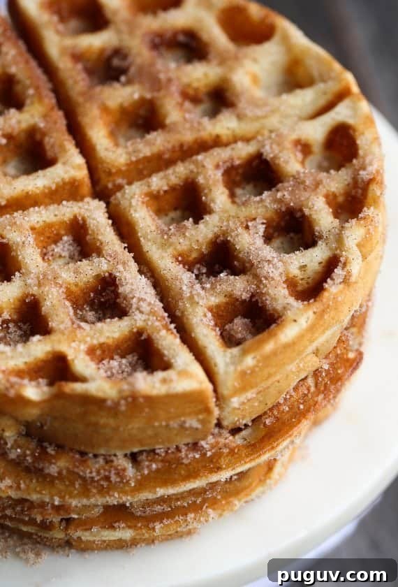 Churro Waffles made with Rapid Rise yeast! These are out of control...you can make the batter the night before and be ready to have waffles in the morning!
