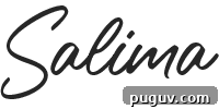 Salima written in cursive