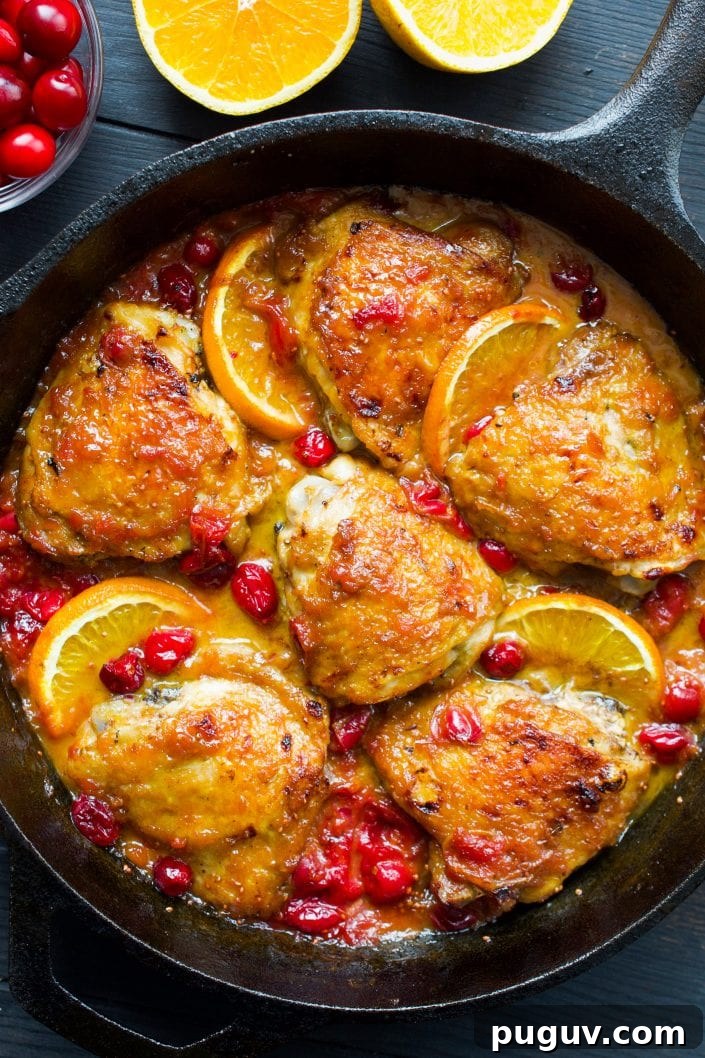 Orange Cranberry Chicken | Every Last Bite Orange Cranberry Chicken