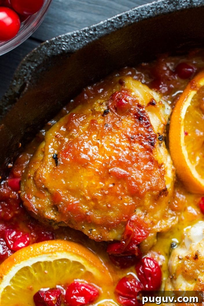 Orange Cranberry Chicken | Every Last Bite Paleo Cranberry Chicken