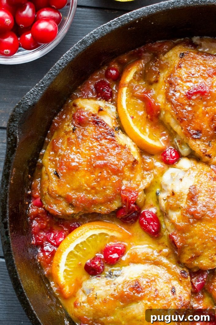 Orange Cranberry Chicken | Every Last Bite Paleo Orange Cranberry Chicken