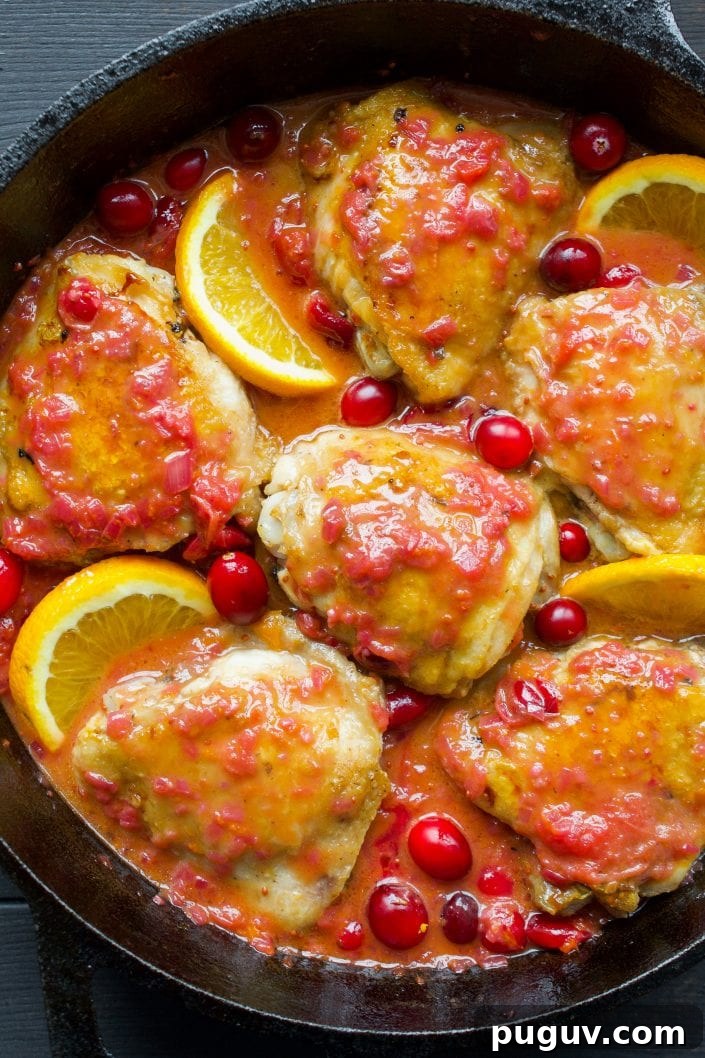 Orange Cranberry Chicken | Every Last Bite Cranberry Chicken
