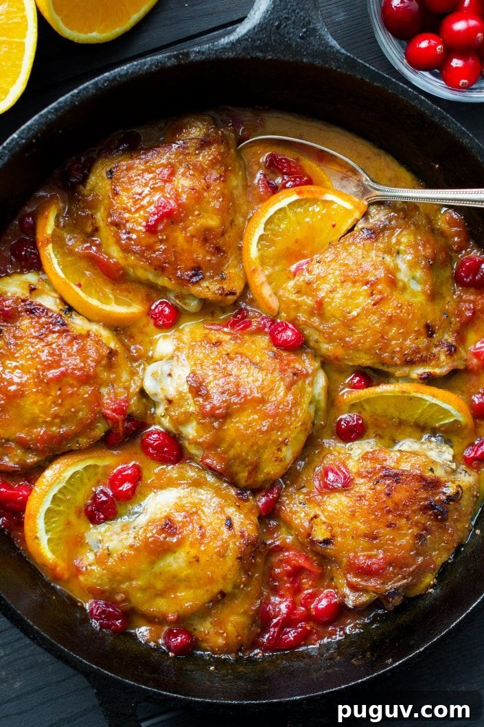 Orange Cranberry Chicken | Every Last Bite Cranberry Chicken