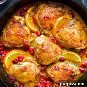Cranberry Orange Glazed Chicken Recipe for Dinner 2 img 24778 7