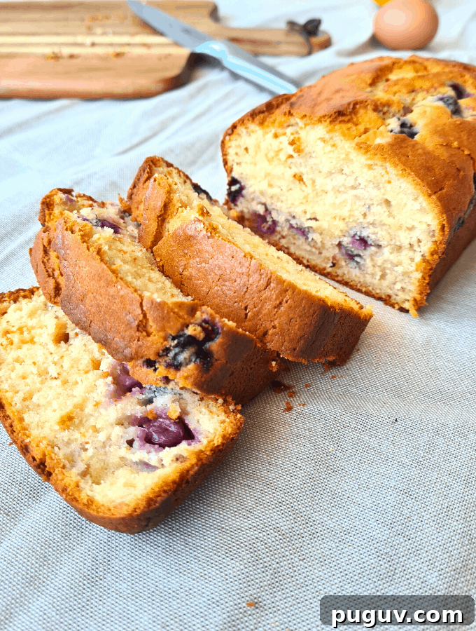 Moist Blueberry Yogurt Loaf Recipe 2 This blueberry yoghurt loaf is delicious, next level moist and since it has yoghurt and blueberries it's basically healthy