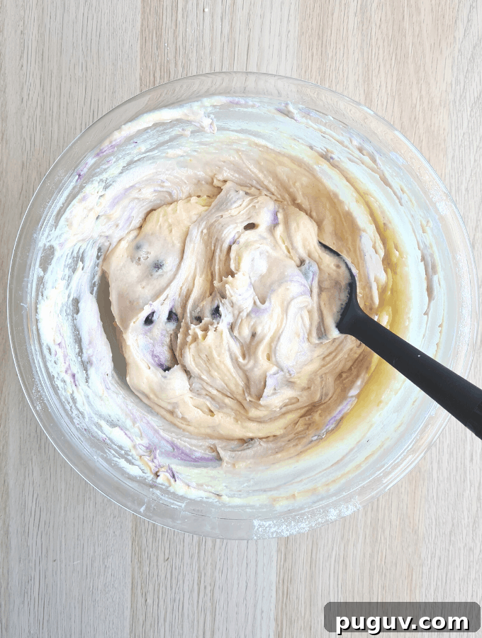Moist Blueberry Yogurt Loaf Recipe 3 img 253 2