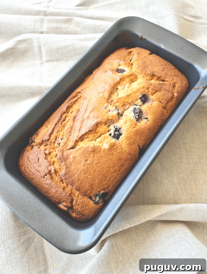 Moist Blueberry Yogurt Loaf Recipe 5 This blueberry yoghurt loaf is delicious, next level moist and since it has yoghurt and blueberries it's basically healthy